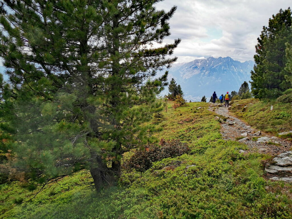 Die Patscherkofel Wanderung in Innsbruck