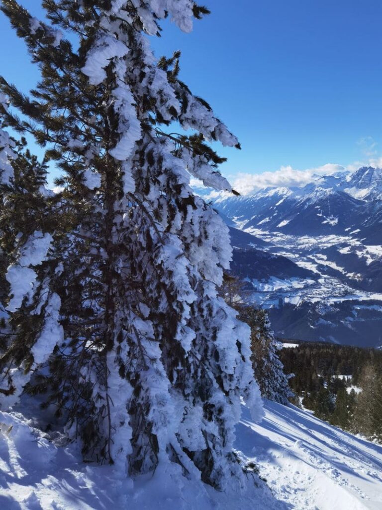 Patscherkofel Winter