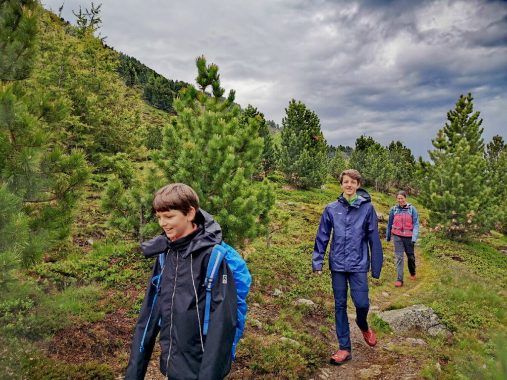 Durch den besonderen Zirbenwald stimmungsvoll am Patscherkofel wandern