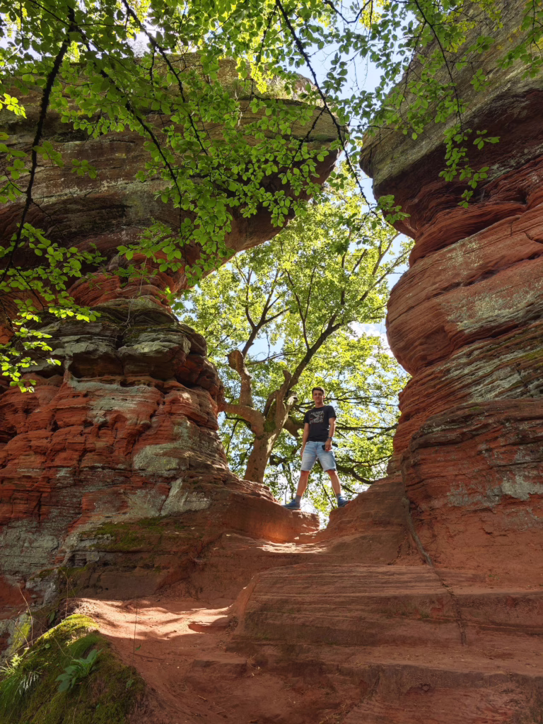 Beeindruckend im Pfälzerwald mit Kindern - die Altschlossfelsen