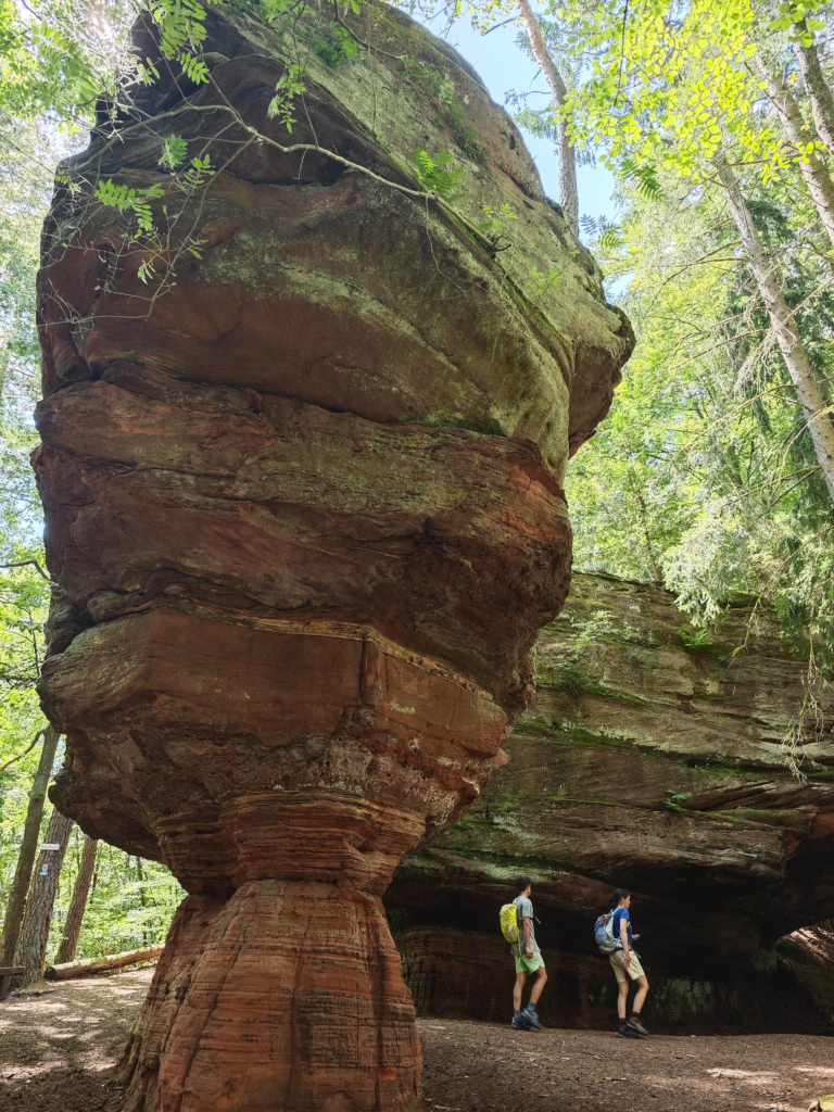 Pirmasenser Felsenwald - unser erstes Highlight im Pfälzerwald mit Kindern