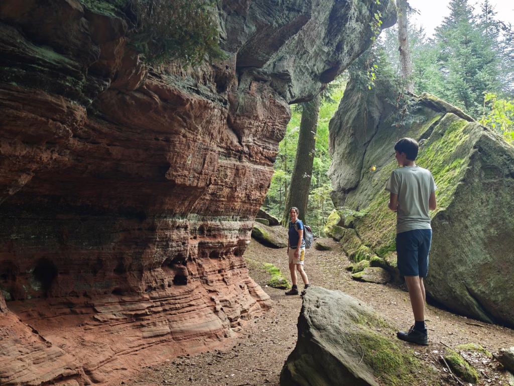 Pirmasenser Felsenwald