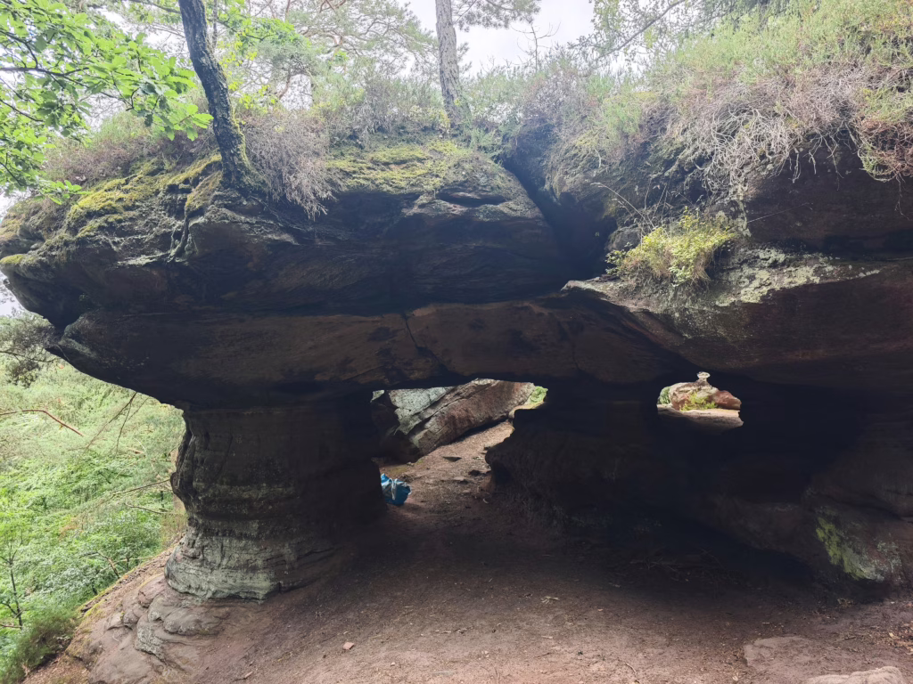 Pirmasenser Felsenwald