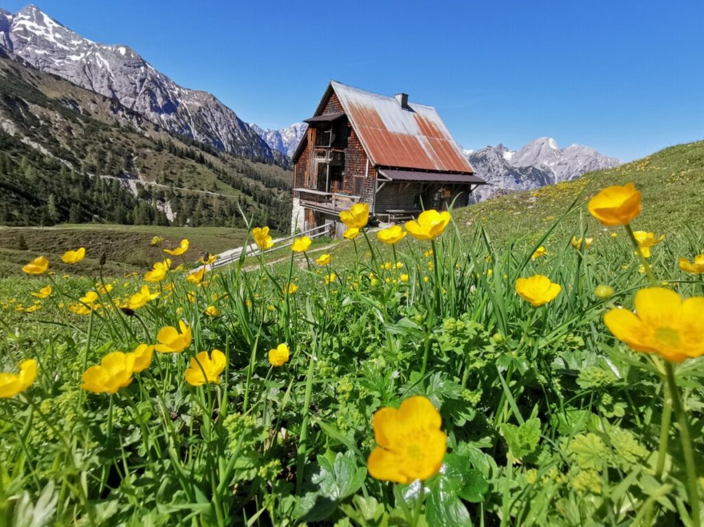 Familienurlaub Achensee - zur urigen Plumsjochhütte wandern