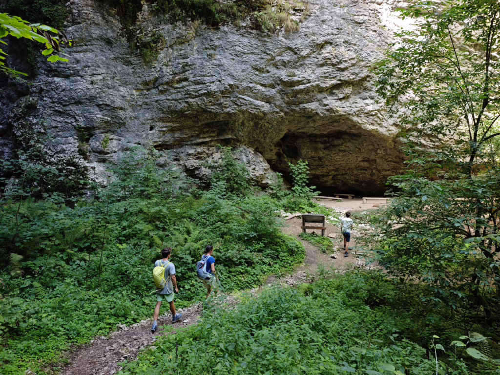 Die Pokljuka Schlucht ist eine trockene Klamm und geprägt von Felsen und Höhlen