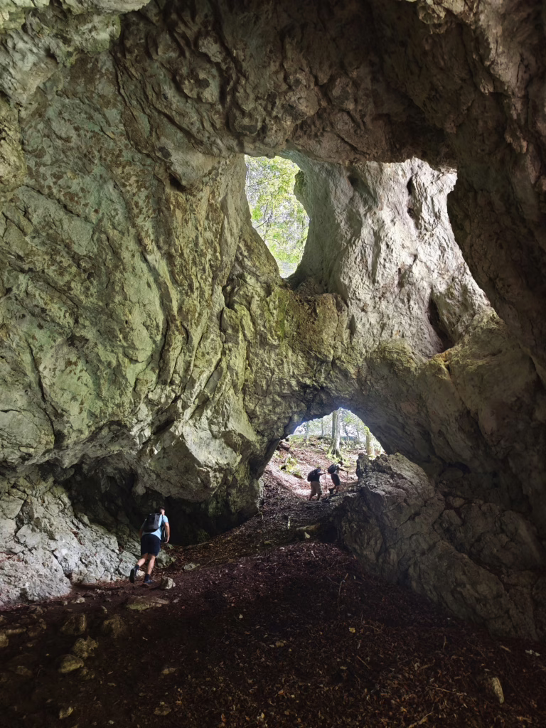 Die Pokljuka Schlucht Wanderung führt steil bergauf durch diese Höhle