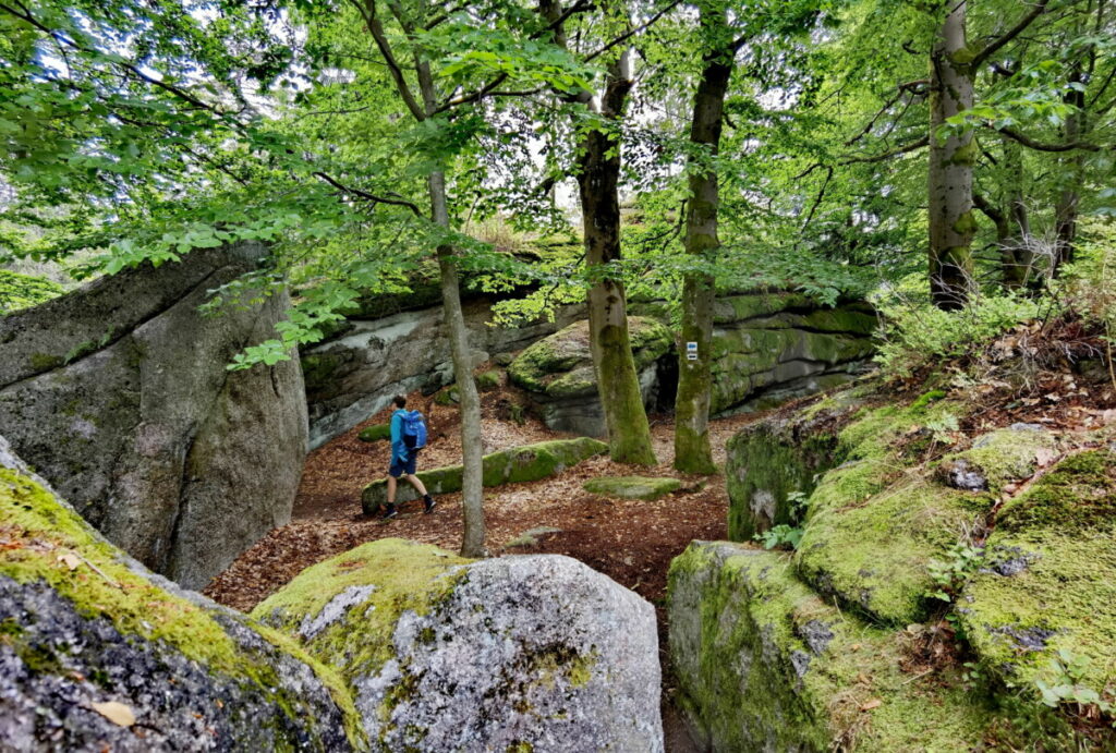 Unterhalb des Prinzenfelsen ist ein kleines Labyrinth - Geheimtipp im Fichtelgebirge mit Kindern