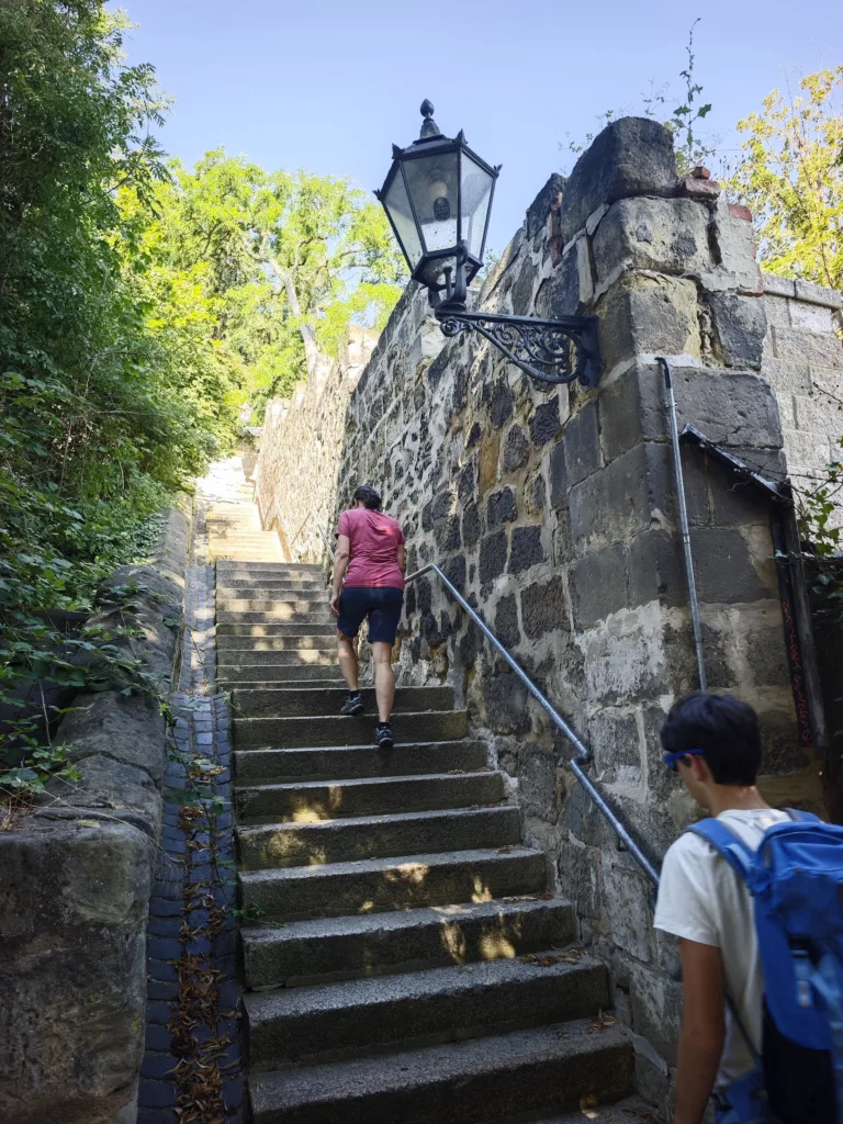 Abenteuerlicher Aufstieg in Quedlinburg mit Kindern über die vielen Stufen auf den Münzenberg