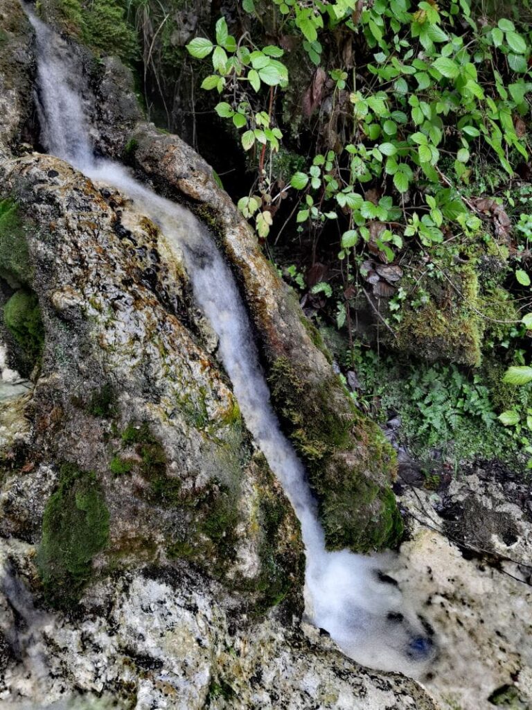 Quelltuff Bürs - durch das kalkhaltige Wasser entsteht diese steinerne Rinne