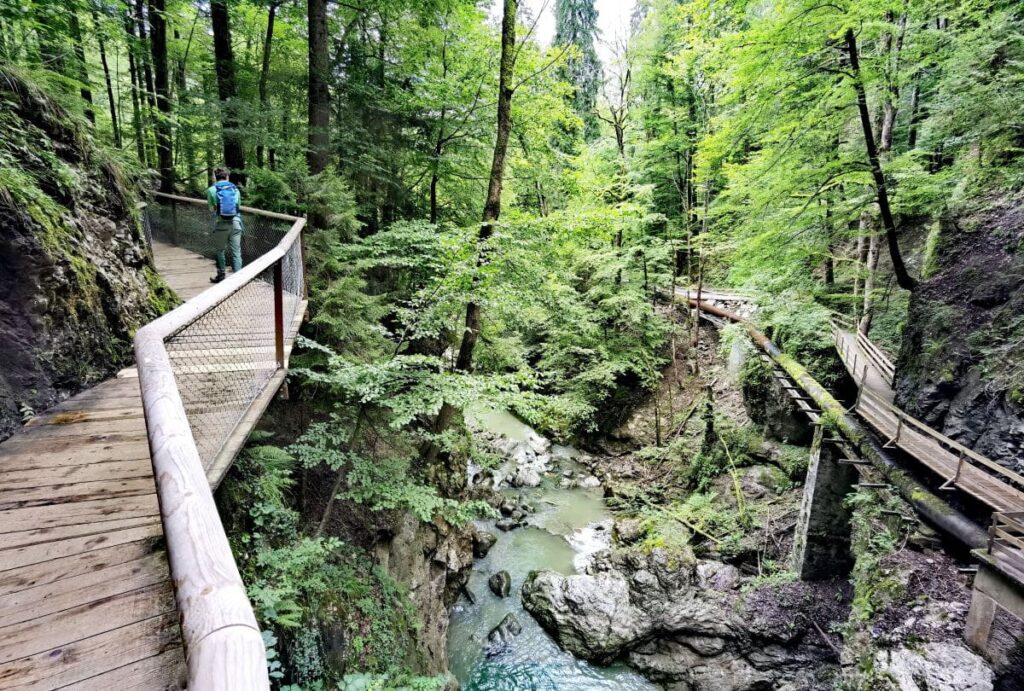 Das ist die Wanderung durch die Rappenlochschlucht