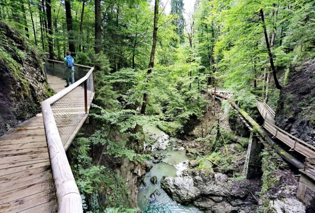 Wandern in Vorarlberg mit Kindern - die Rappenlochlucht ist ein tolles Wanderziel