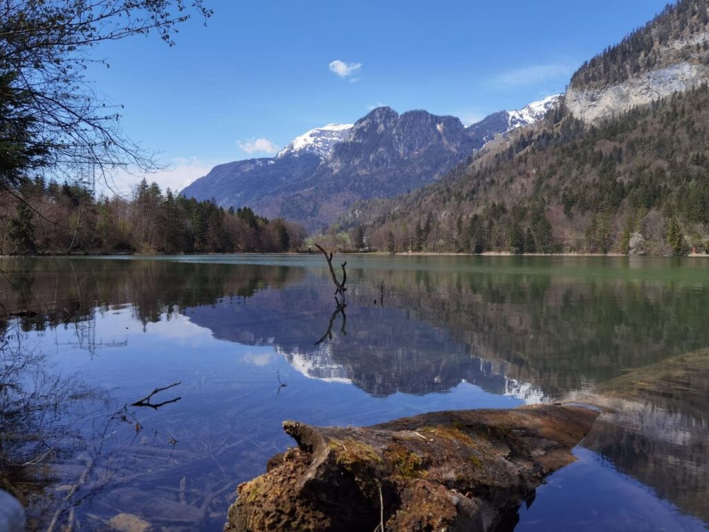 Sommerurlaub mit Kindern in der fantastischen Natur im Alpbachtal