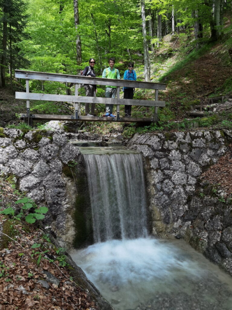 Toll in Reit im Winkl wandern mit Kindern