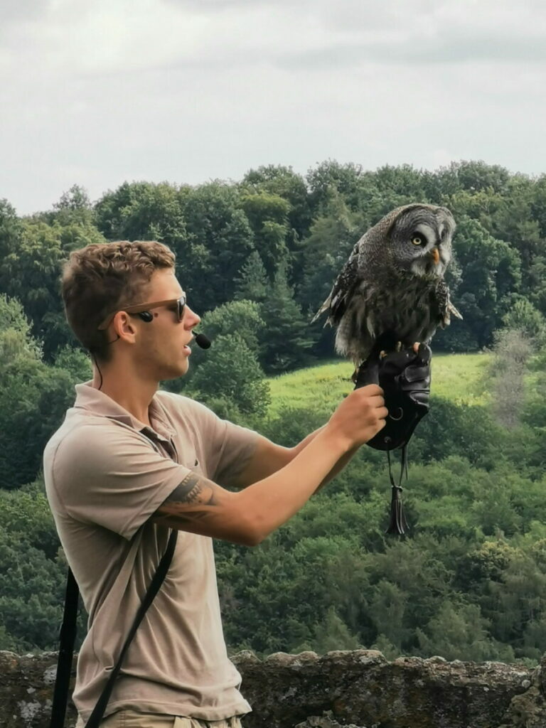 Weiz Ausflug mit Kindern: Die Greifvogelschau auf der Riegersburg