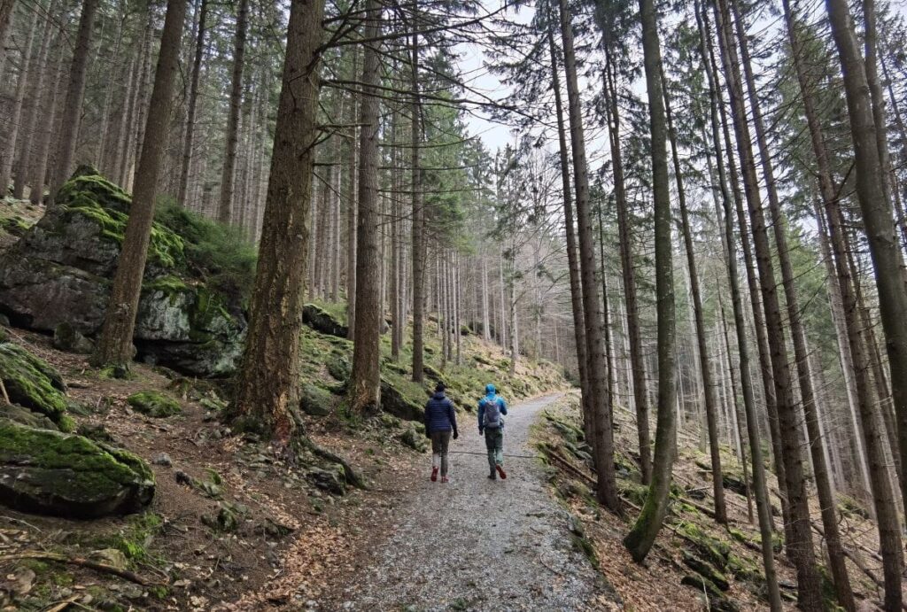 Durch den Wald zu den Rieslochfällen wandern