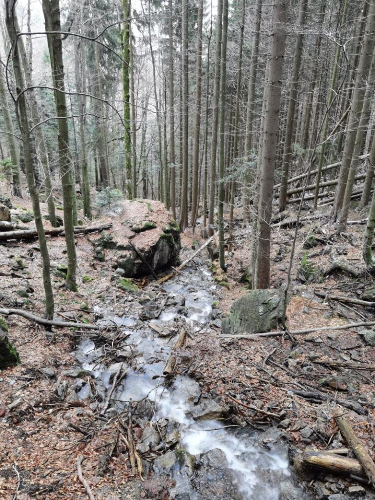 Rißlochfälle Bodenmais