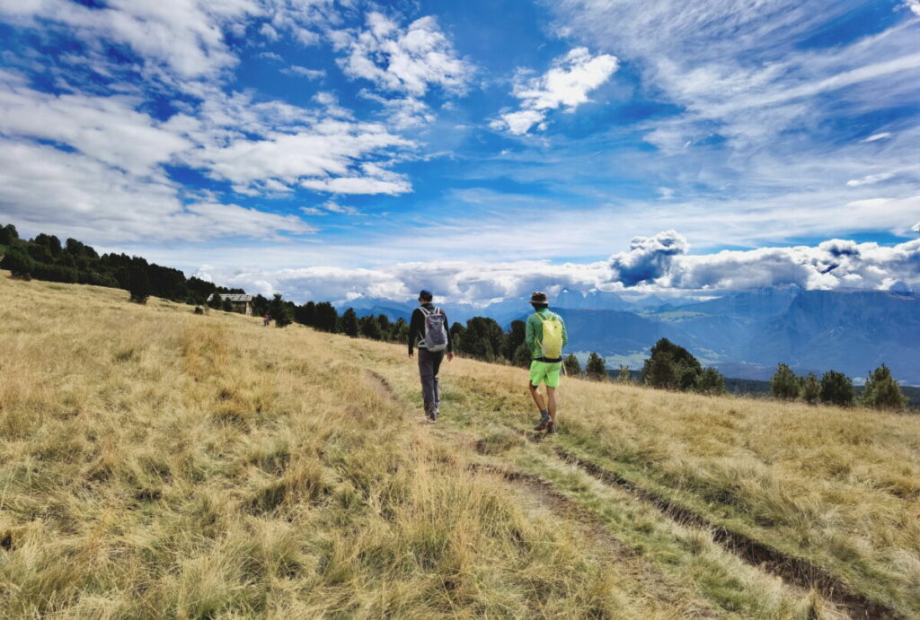 Ritten Urlaub mit Kindern - hier solltest du unbedingt wandern gehen! Traumhaftes Panorama auf dem Rittner Horn