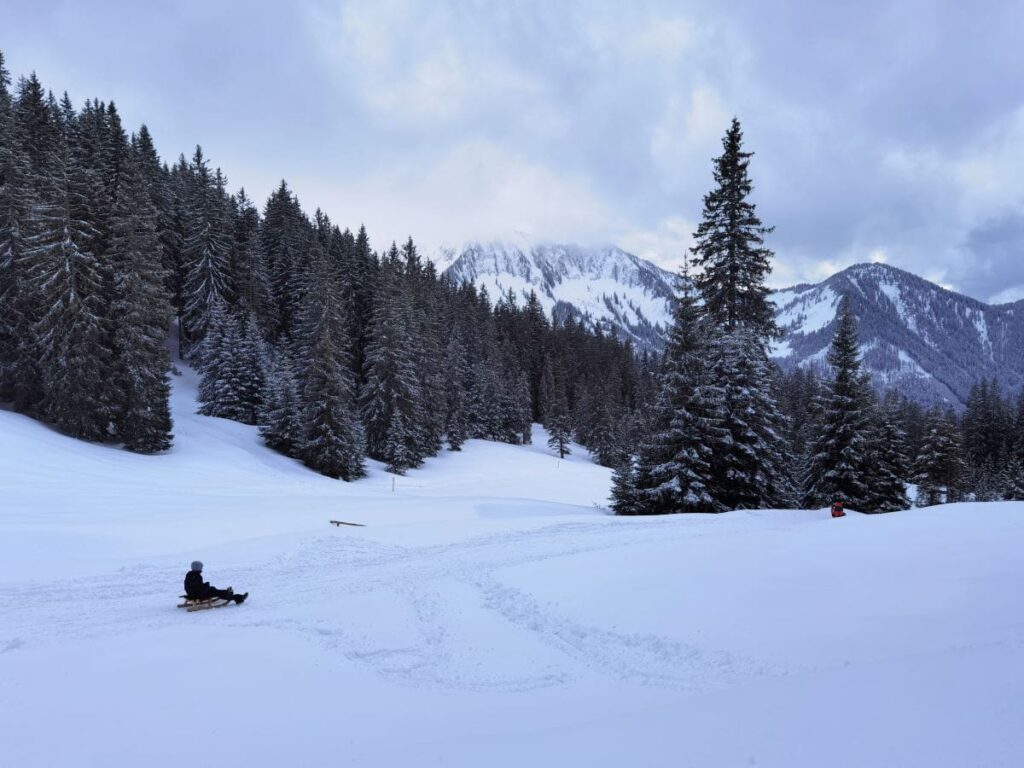 Rodelbahn Laterns im Skigebiet Laterns