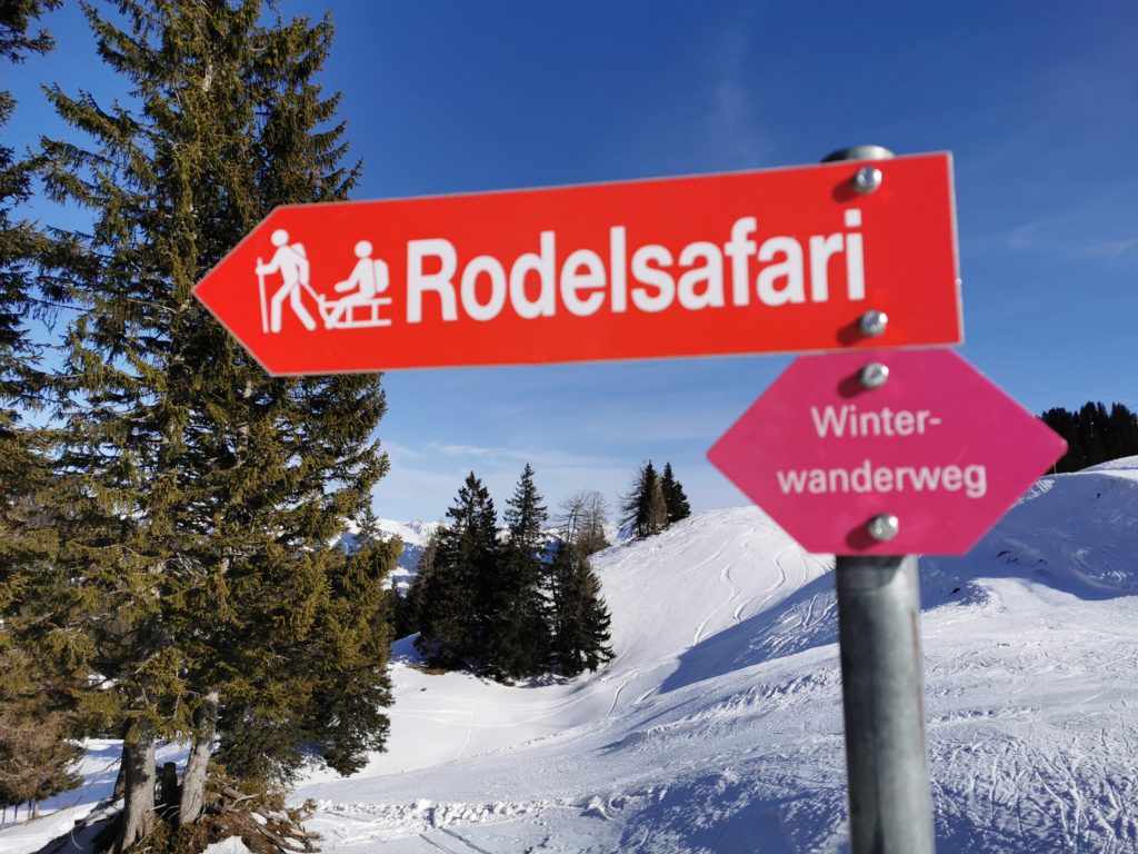 Rodelsafari - lang und schön zum Rodeln mit Kindern