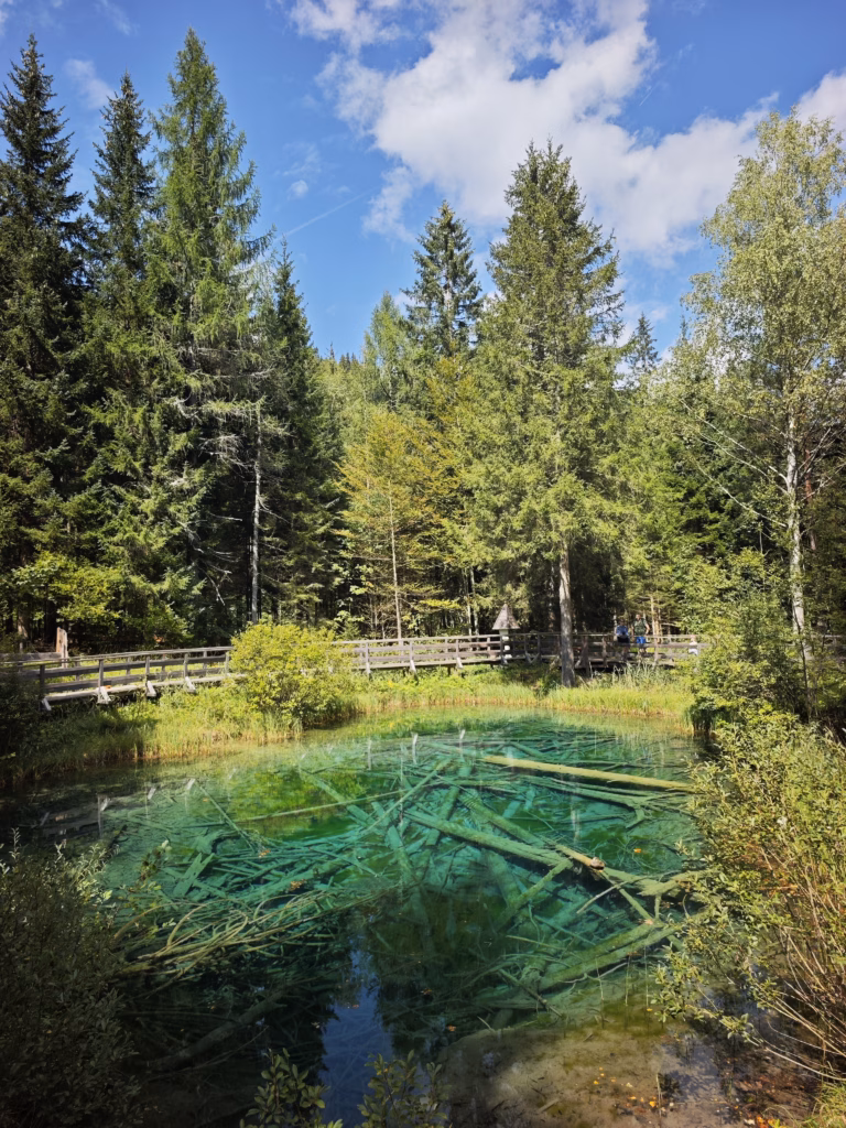 Das Meerauge ist für uns einer der schönsten Orte in Kärnten mit Kindern