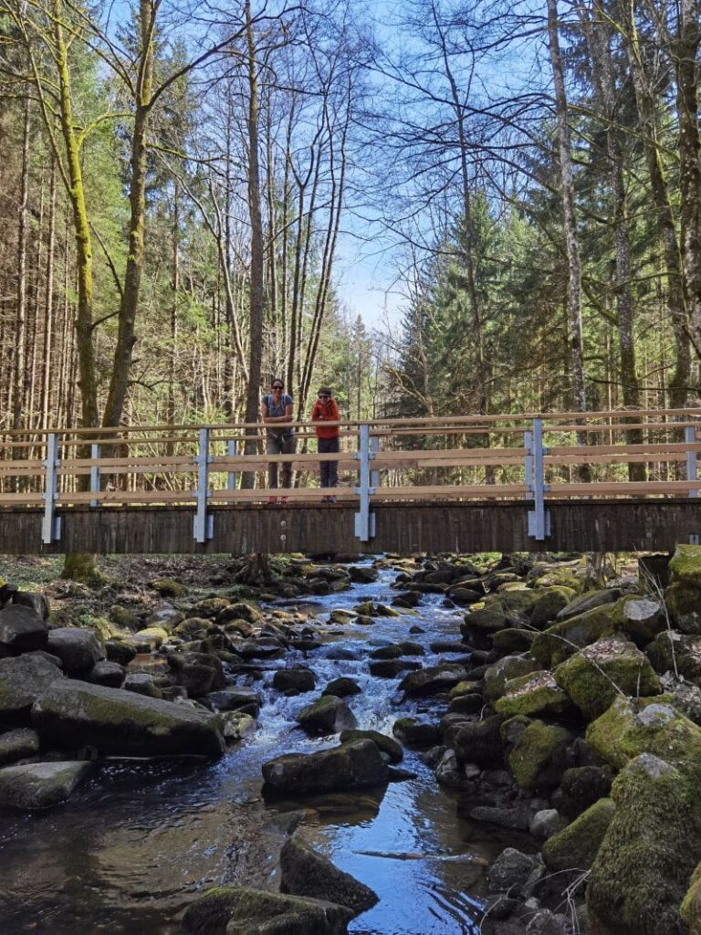 Die wildromantische Saussbachklamm ist eine leichte Wanderung mit Kindern