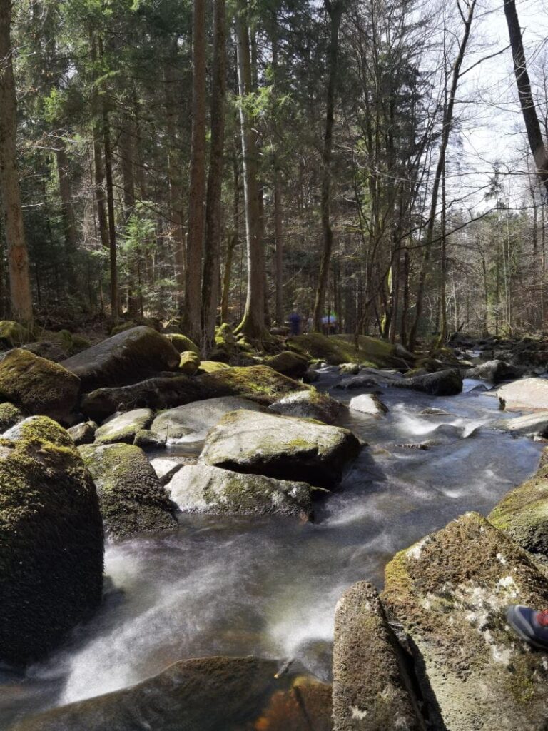 Saussbachklamm