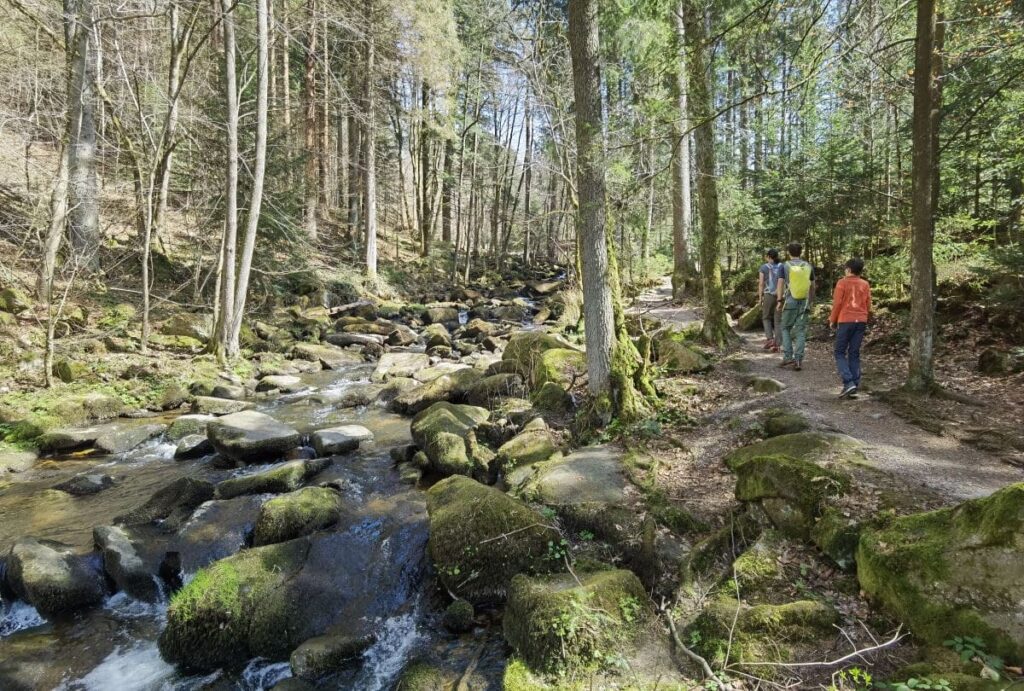 Saussbachklamm mit Kindern