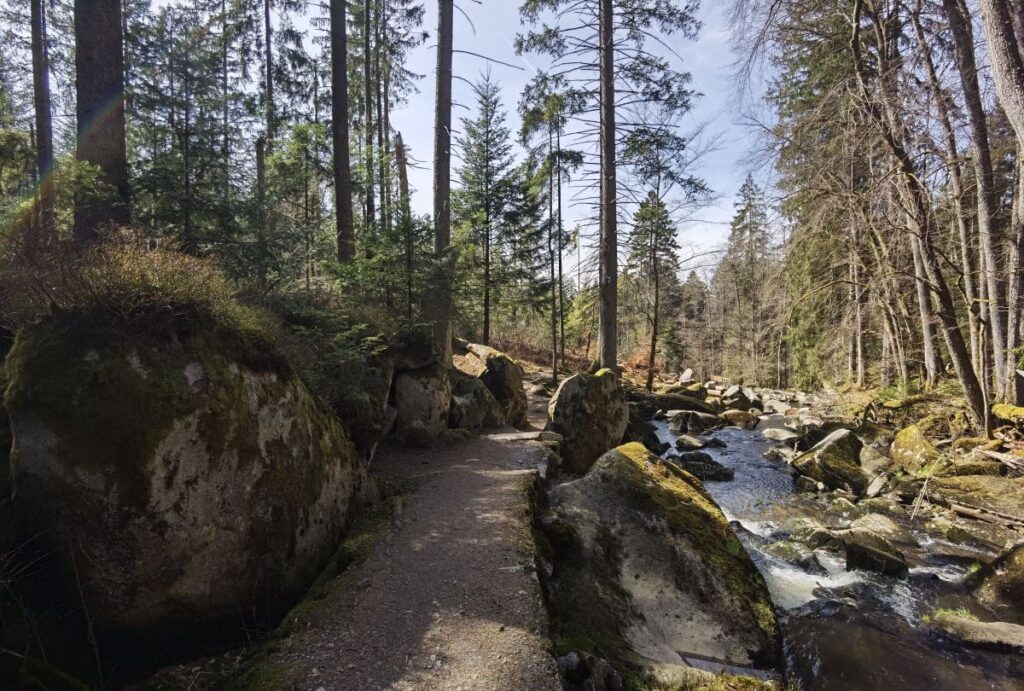 Saussbachklamm wandern