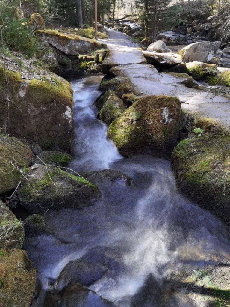 Saussbachklamm wandern