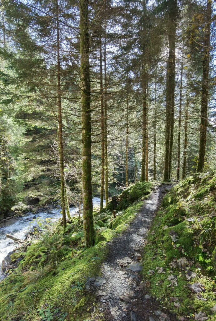 Schluchtweg Millstatt - Idylle im Wald und am Wasser