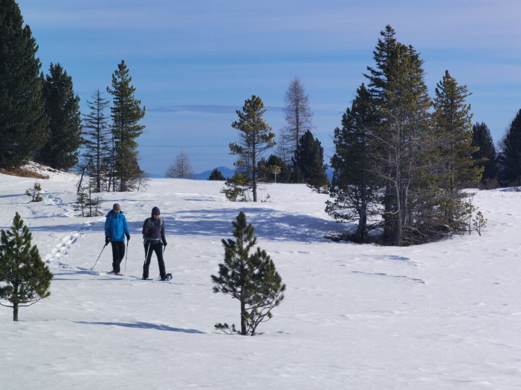 Schneeschuhwandern Judenburg