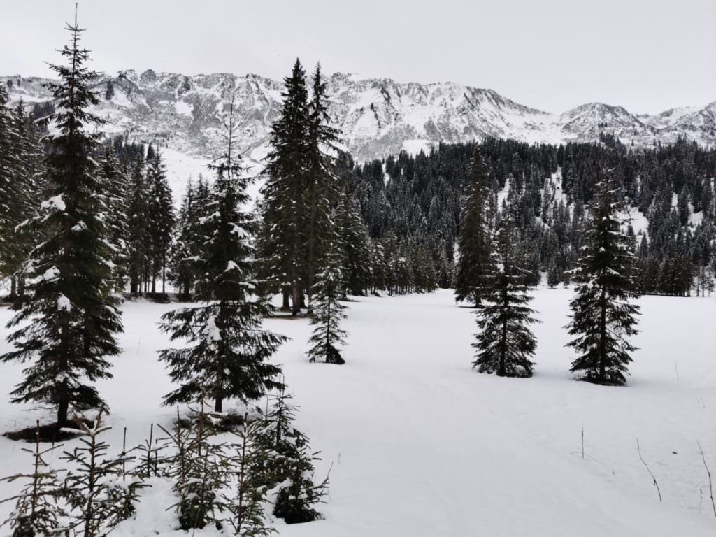 Schwarzwassertal Winteridylle im Kleinwalsertal