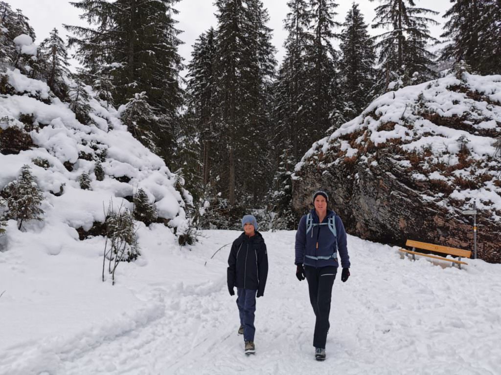 Schwarzwassertal wandern - durch den Wald, vorbei an großen Steinbrocken