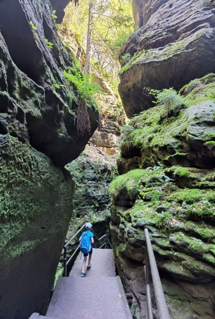 Sächsische Schweiz mit Kindern - Rundwanderung Bastei durch die Felsen der Schwedenlöcher