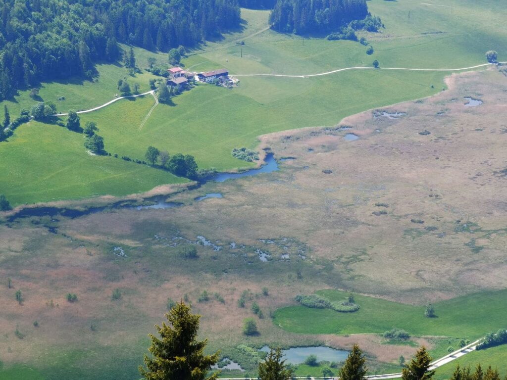 Walchsee mit Kindern wandern - und das Moor von oben sehen: Am Brennkopf