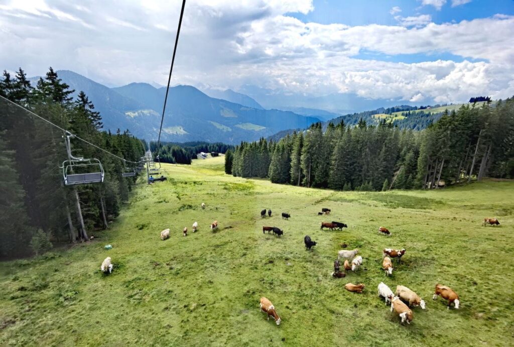 Seilbahnen Laterns - angenehme Aufstiegshilfe für leichte Wanderungen zu Almen und Gipfeln