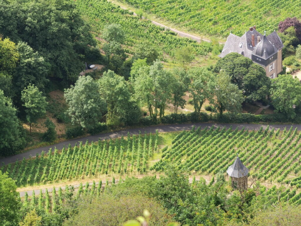 Vom Jufa Hotel Könisgwinter auf die Drachenburg mit Kindern