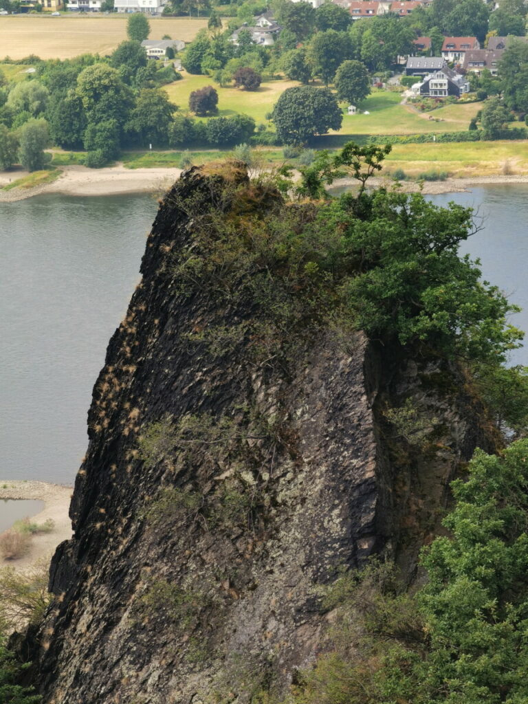 Vom Jufa Hotel Könisgwinter wandern am Drachenfelsen mit Kindern