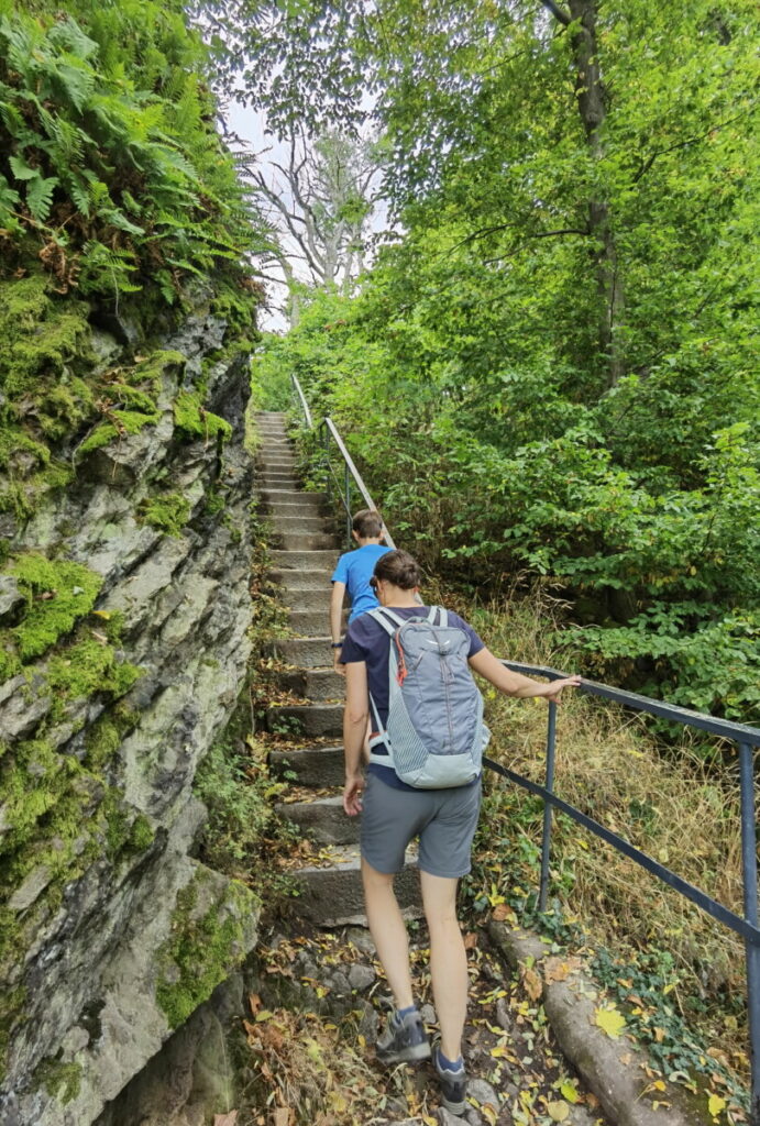 Vom Jufa Hotel Könisgwinter wandern am Drachenfelsen mit Kindern