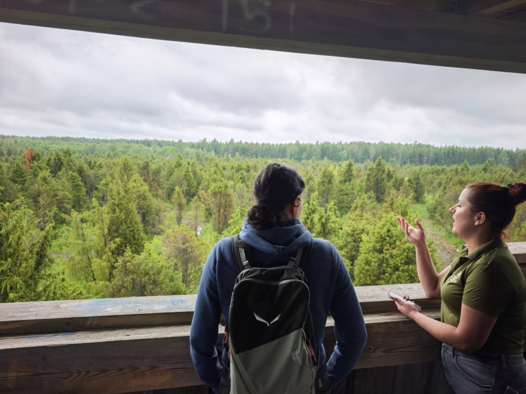 Naturlehrpfad Šauklių riedulynas in der litauischen Tundra