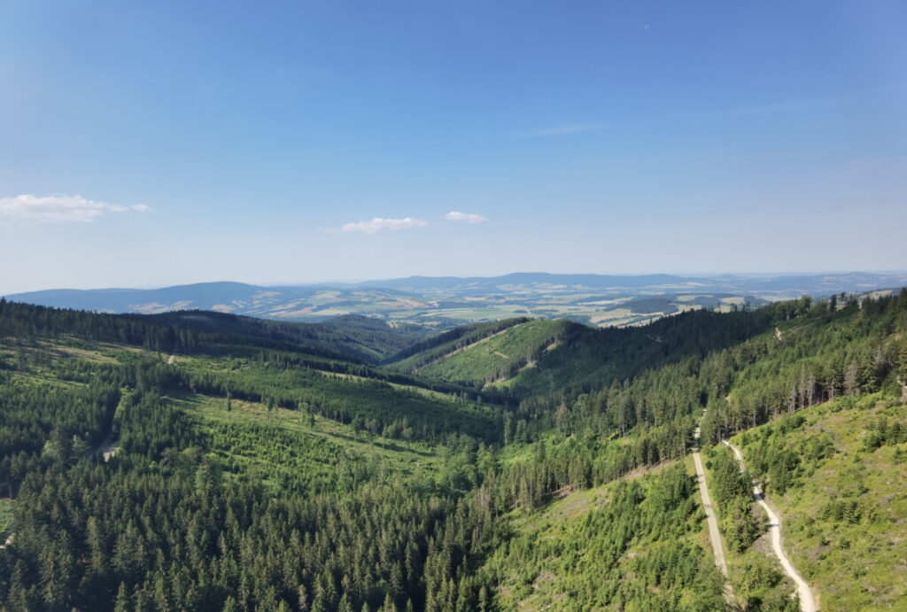 Der Ausblick von der Skybridge auf die hügelige Landschaft