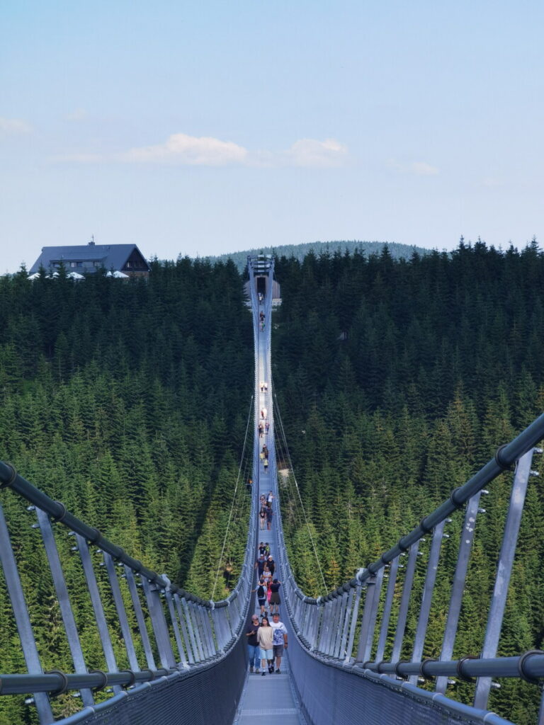 Der Blick über die Skybridge - am Horizont siehst du das Brückenportal. Dort ist der Start für den Besuch auf der Hängebrücke.