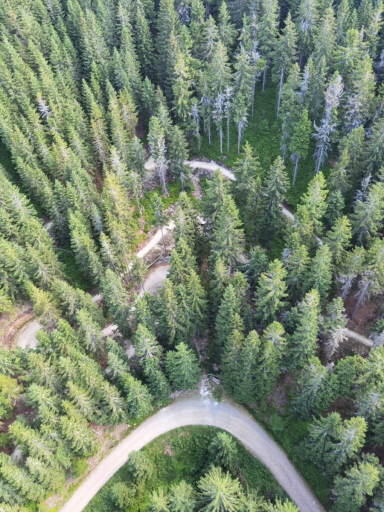 Skybridge Blick direkt nach unten - so tief liegen die Bäume im Tal