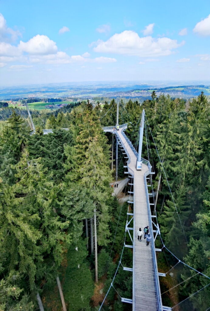  Skywalk Allgäu - atemberaubendes Erlebnis auf dem Baumwipfelpfad in Bayern 