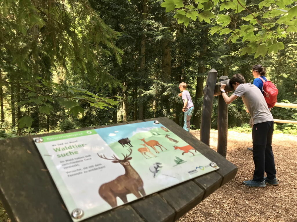  Der Naturerlebnispfad im Wald des Skywalk Allgäu 