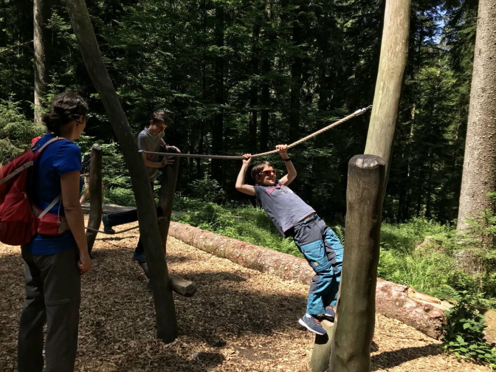 Zwischendrin ist auch ein Niederseilgarten - besonderer Spaß & Action für Kinder 