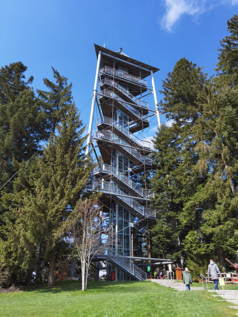 Blick auf den Turm des Skywalk Scheidegg