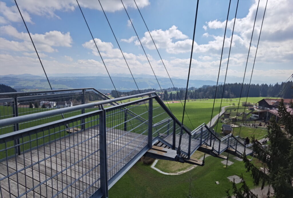  Der Blick zurück nach unten - wir sind schon ganz schön weit oben im Baumwipfelpfad 