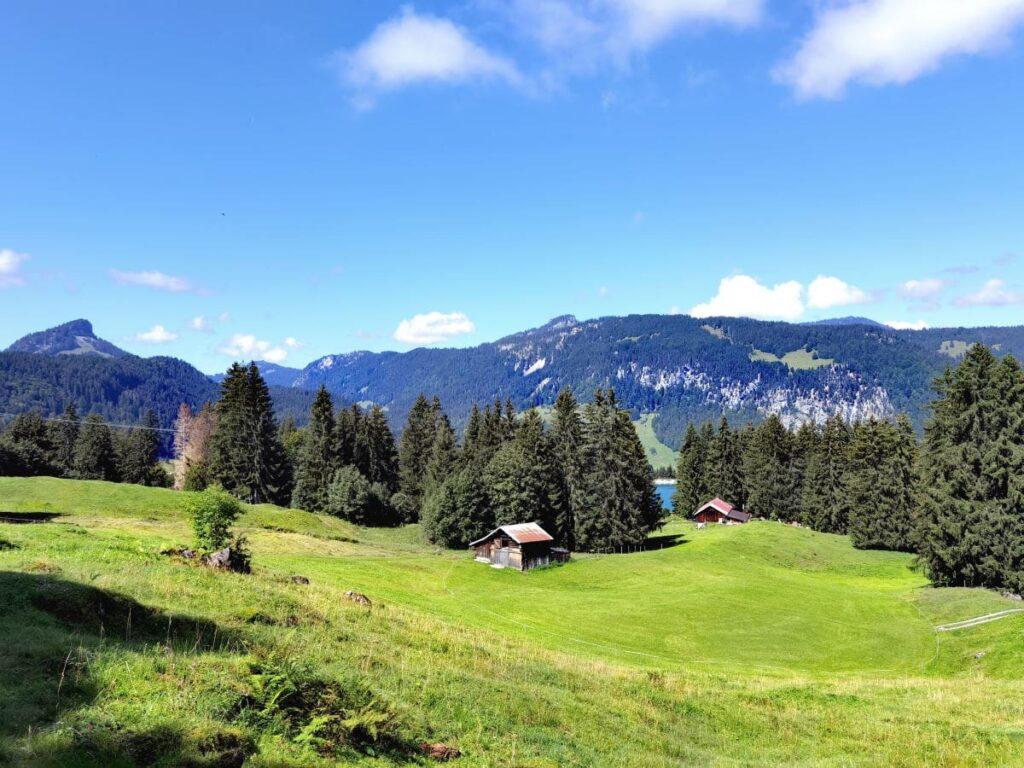 Ausblick am Söllereck Richtung Kleinwalsertal