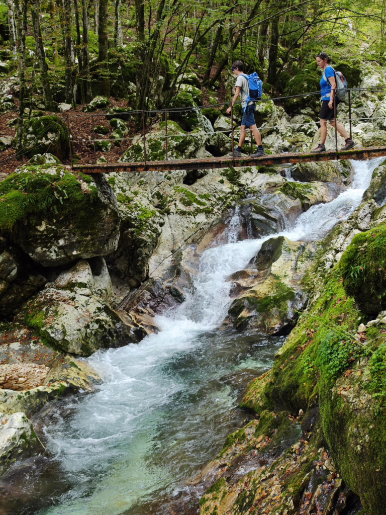 Šunik Wasserhain